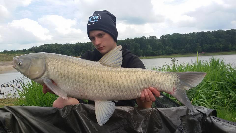 Cetariu - 15319908725802994827348231791245897945061n.jpg